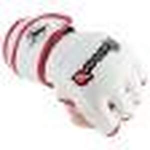 Pro MMA Gloves